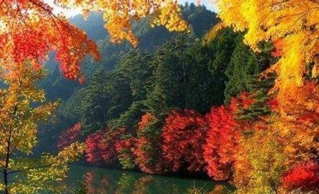Защо мозъкът обича есента?