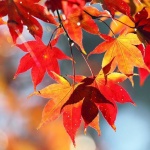 Предстоящи събития в страната за 22 октомври