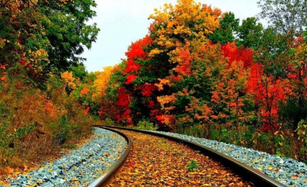 Предстоящи събития в страната за 7 ноември