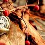 Предстоящи събития в страната за 08 октомври 2019 г.