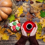 Къде какво в страната днес