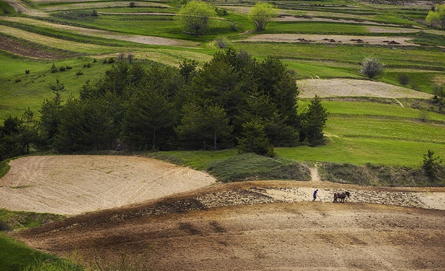 За трети път искат да отлагане на глобите за офшорки със земя у нас