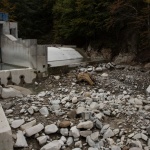 Реки от злато