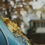 Предстоящи събития в страната 