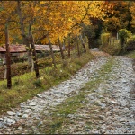 Откриват туристическия форум "Елате на Балканите"