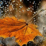 Предстоящи събития в страната за 19 октомври