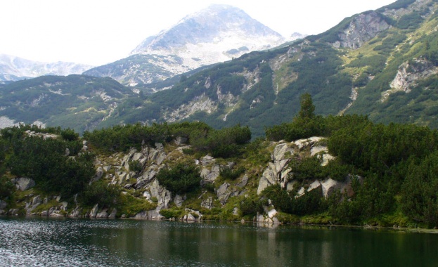 В МОСВ се процедират плановете за управление на НП „Пирин” и ПП „Витоша”, на НП „Рила” още не е внесен