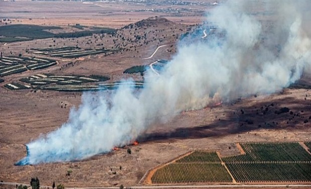 Съюзниците на Турция в НАТО са принудени да се правят, че Анкара споделя техните цели