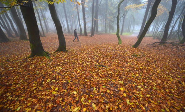 България е поканена да участва в проект, свързан със световното наследство на ЮНЕСКО