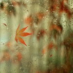 Предстоящи събития в страната 