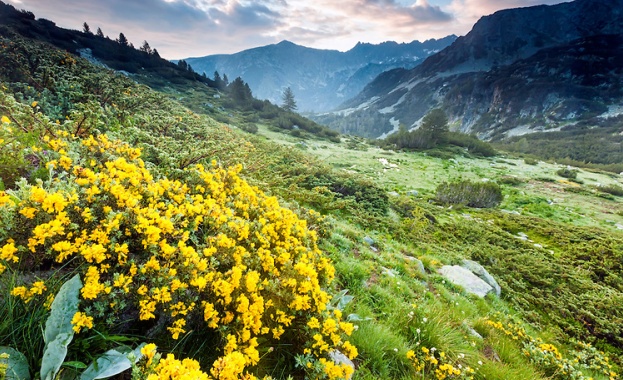 Италиански ежедневник разказва за чудото на Пирин