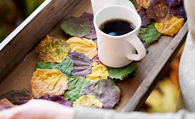 Предстоящи събития в страната 