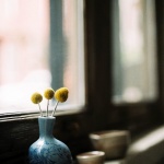 Рождениците днес 