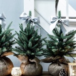 Предстоящи събития в страната 