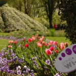 Франция възнамерява да забрани обществения WiFi