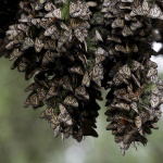 Предстоящи събития в страната за днес, 14 декември