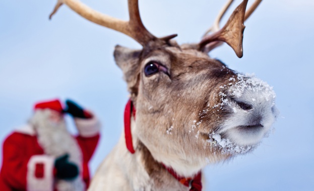 Елените на Санта Клаус потеглят на 23 декември в 19 ч.