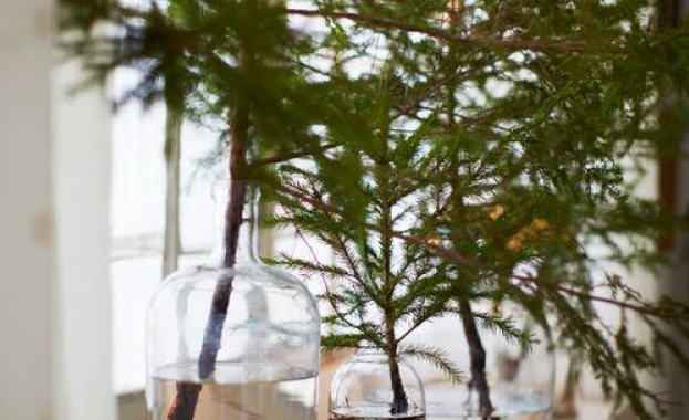 Предстоящи събития 