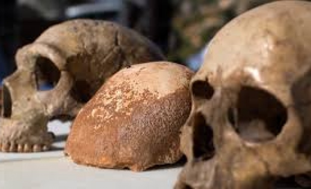 Палеонтолози откриха нов вид хора в Китай