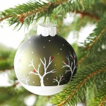 Предстоящи събития в страната 