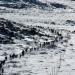 Необикновен поход до Черни връх обединява история и туризъм