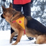 Спасители търсят изгубен младеж в Средна гора