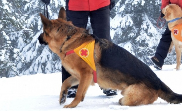 Спасители търсят изгубен младеж в Средна гора