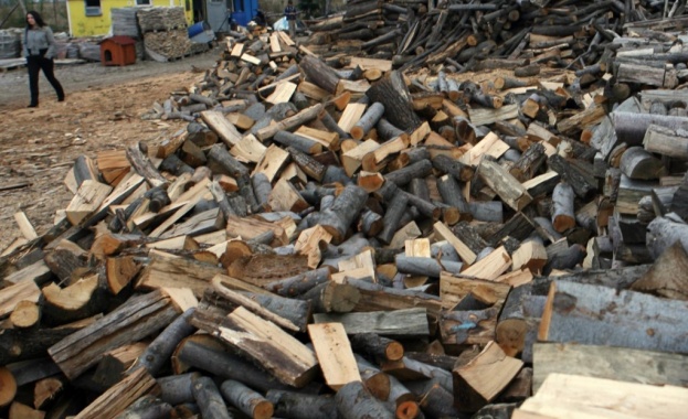 Северноцентралното държавно предприятие „Габрово” ще проведе електронен търг за дървесина