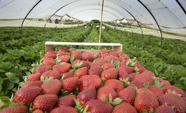 Гърция отива на съд за заробване на чужденци