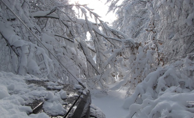 Влакът Варна-София е спрял между Мадара и Каспичан