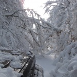 Влакът Варна-София е спрял между Мадара и Каспичан