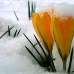 Предстоящи събития в страната 