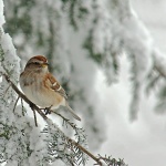 Предстоящи събития в страната за 12 декември