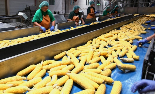 Русия може да забрани вноса на царевица от САЩ