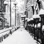 Предстоящи събития 