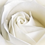 Рождениците днес 