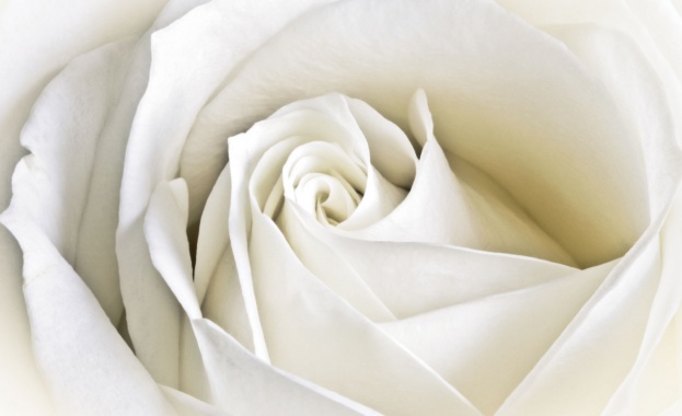 Рождениците днес 