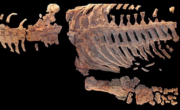 В Русия откриха нов вид морски динозавър с 5 пръста