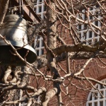 Войната срещу православието