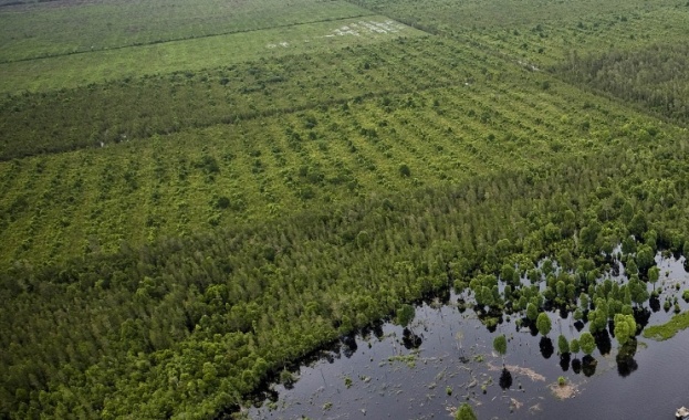 Руски спътник ще може да надзърне под земната повърхност от космоса