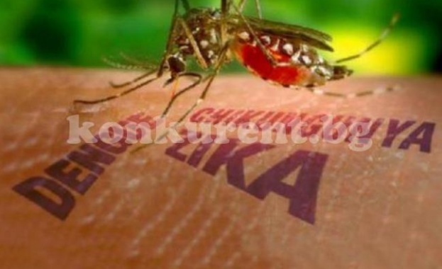 "Зика" заплашва най-сериозно Козлодуй и Оряхово