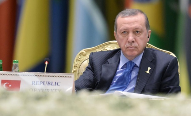 Експерт: „Окупацията“ на Сирия – лични интереси на режима на Ердоган