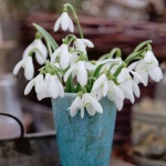 Рождениците днес 