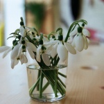 Предстоящи събития в страната 