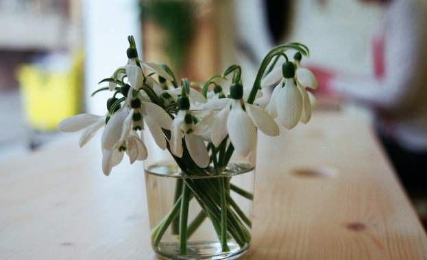 Предстоящи събития в страната 