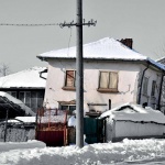 КОЙ уби семейство Дишеви?