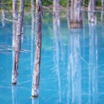 Когато си жаден е прекалено късно да копаеш кладенец