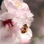 Предстоящи събития в страната за днес, 28 февруари