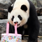 Рождениците днес