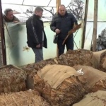 Тютюнджии от цяла България акостират в Свиленград